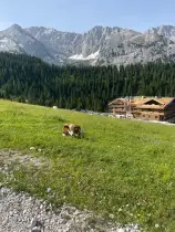 Berge