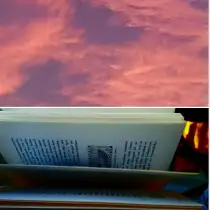 Bücherfrieden