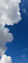 Blaue Freiheit