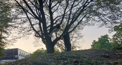 Rettung