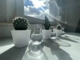 Das Leben