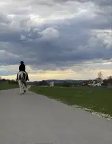 Freiheit - Reiten