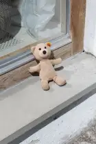 Free Teddy