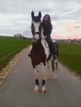 Freiheit - Reiten