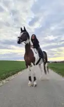 Freiheit - Reiten