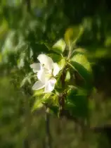 Die Freiheit der Natur