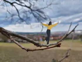 Balanceakt
