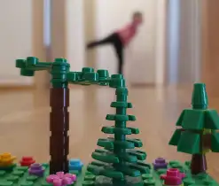 Wald-Yoga