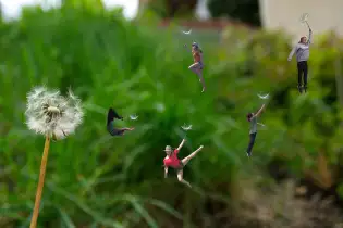 Frei wie der Wind
