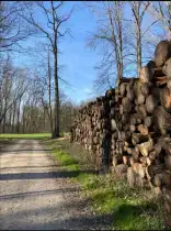 Weg in die Freiheit