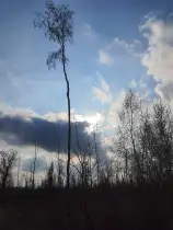 In the sunlight