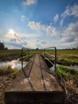 Der Weg auf die Sonnenseite