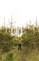 Freiheit - Natur