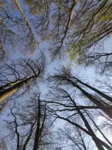 Die Freiheit, zu träumen.
