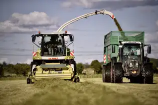 Landwirtschaft