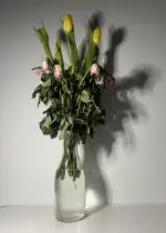 unterschiedlich identisch