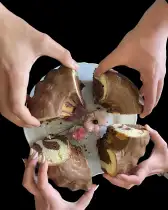 Kuchen