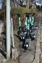 Ein E-Roller-Wald