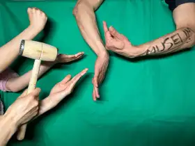 Gerechtigkeit für gestohlenes Erbe: Ein Aufruf zum Handeln