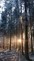 Winterruhe