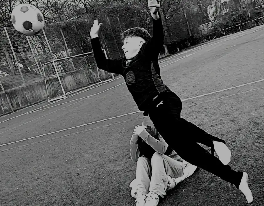 Teamplayer