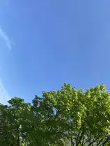 Draußen