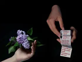 Als Frau geboren? Nimm die Gender-Stereotypen als Geschenk!