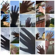 Zur Freiheit 2