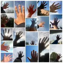 Zur Freiheit 1