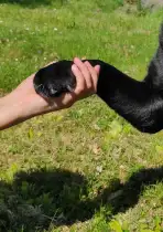 together