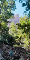 Natur